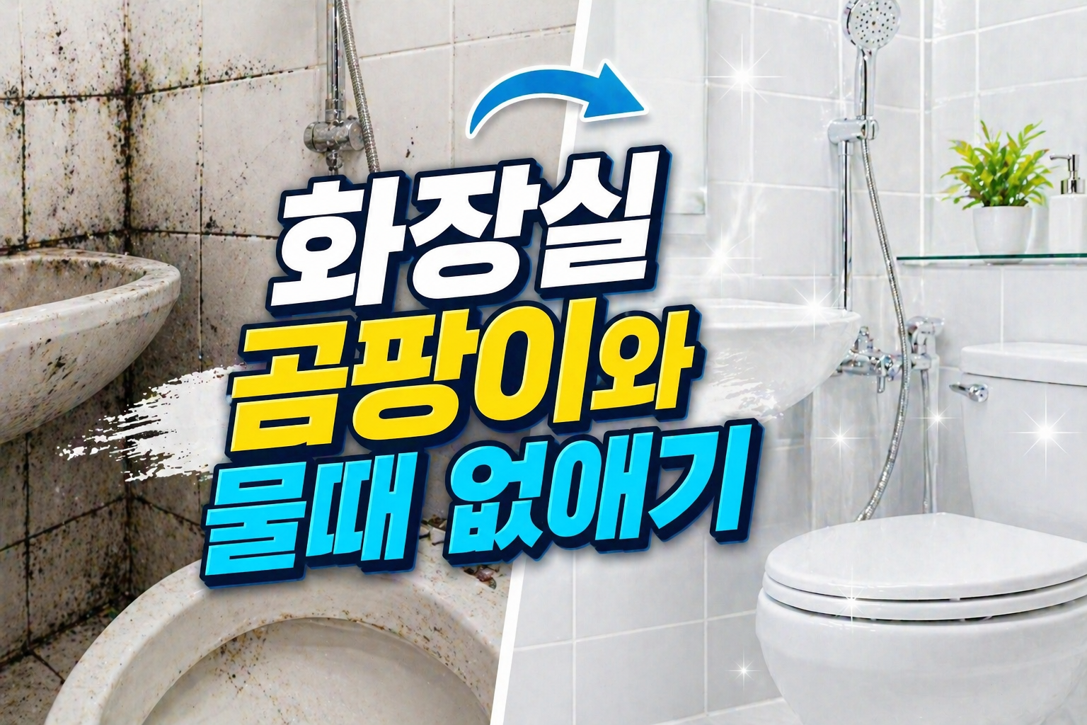 화장실 곰팡이와 물때 없애기